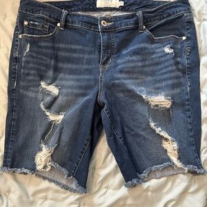 Torrid Blue Denim Jeans